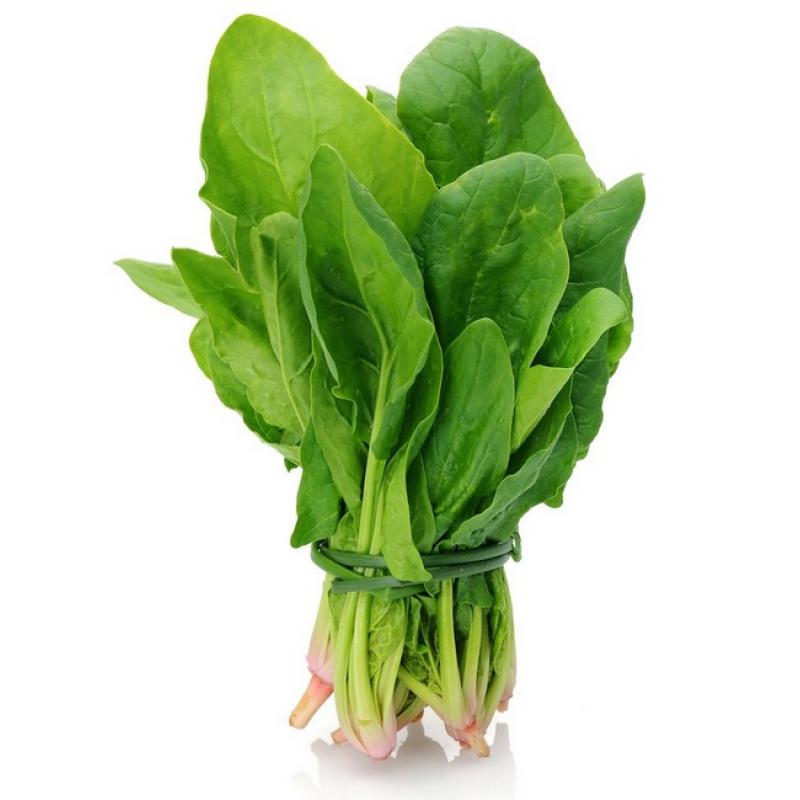 （特价）新鲜菠菜 Spinat 1stk (只限自提或配送）