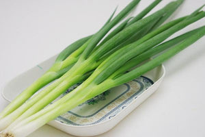 新鲜 小葱 Spring Onions /stk