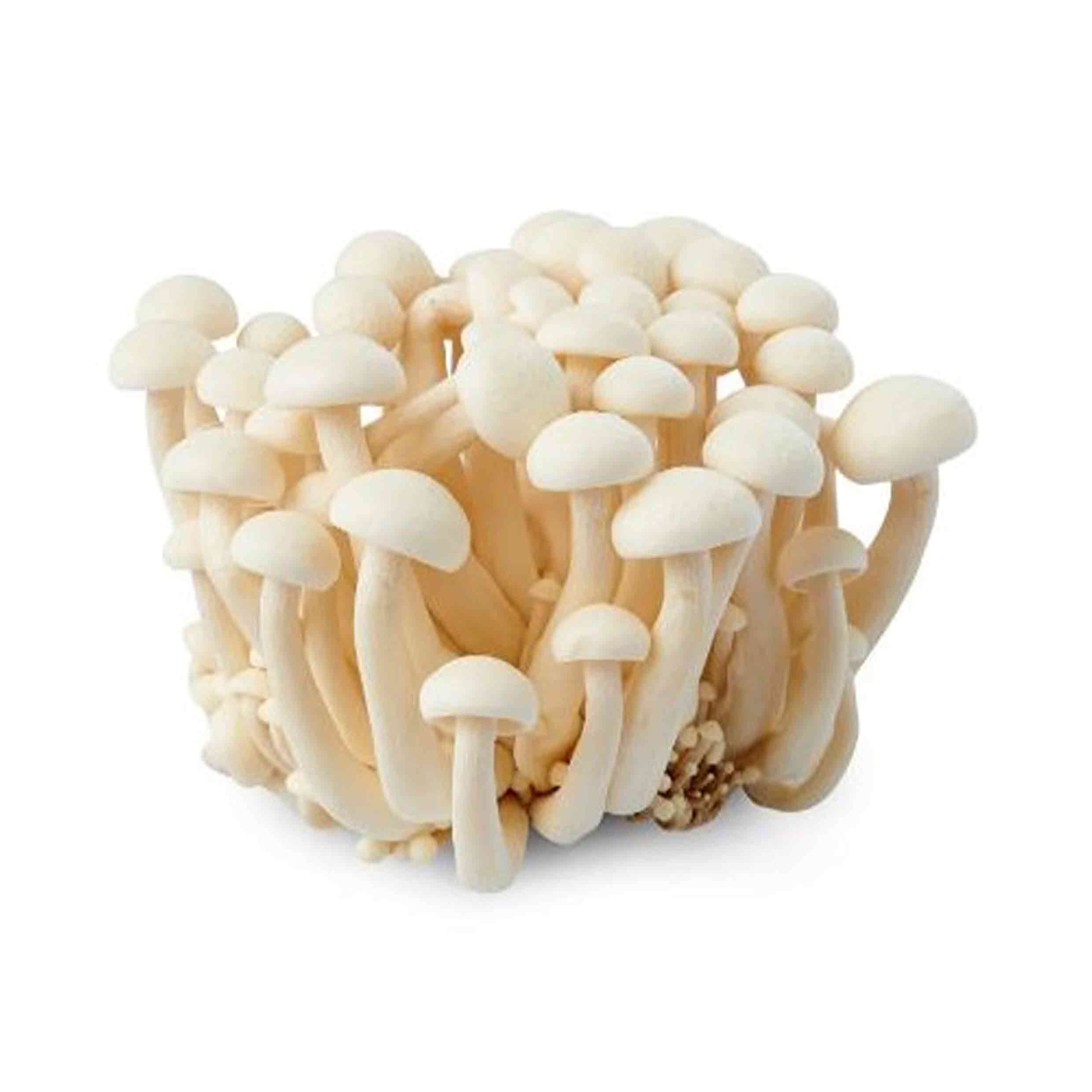 白玉姬菇 White Beech Mushroom 150g (只限自提或配送)